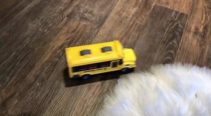 Watch RC School Bus for Kids on Amazon Live