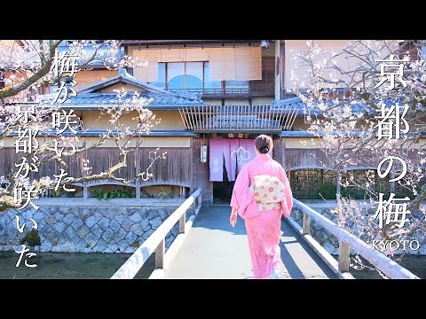 遅れた春をつかまえに 京都街中で静かに愉しむ梅めぐり｜御所｜祇園白川｜錦天満宮｜穴場スポット
