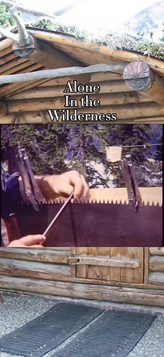 152K views · 3.5K reactions | #AloneInTheWilderness #Outdoor #Survival #wilderness | Nature’s Legacy in Architecture | Facebook