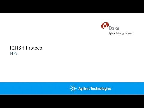 Agilent IQFISH FISH Protocol: FFPE