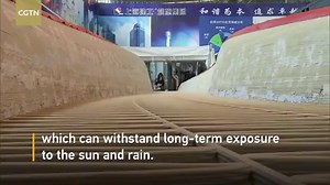 China's first 3D-printed resin bridge was installed successfully in the central park in Shanghai's Taopu area. | CGTN