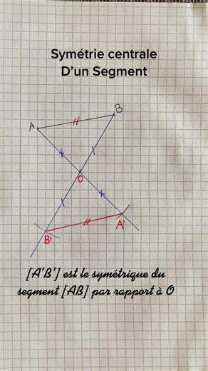 Comment construire la symétrie centrale d’un segment ?