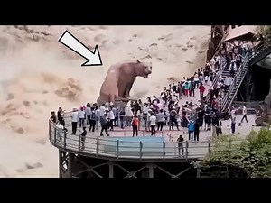 People Captured What No One Was Supposed To See