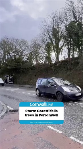 Footage from Perranwell in Cornwall as the devastation from Storm Goretti continues to hit the South West, causing trees to be felled, blocking roads and damaging power lines. | Cornwall Live