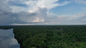 76 reactions · 6 comments | Today is World Rainforest Day!  The...