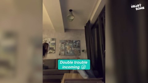 They Thought No One Was Watching — But the Camera Caught Everything