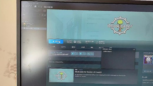 打不开tmod，一直在显示这个窗口，这是怎么回事？