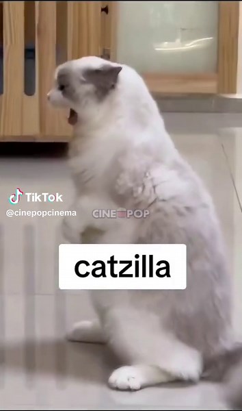 Catzilla Meme - Godzilla meets Cat in Hilarious Video