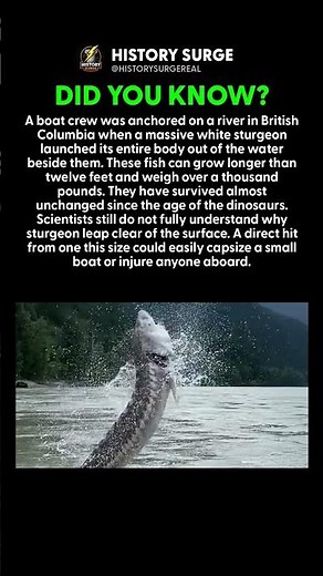 A 1,000-POUND FISH SHOT OUT OF THE WATER AT THEM