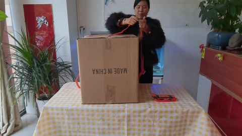 1-2 Person Lifting and Moving Straps Lift,Move and Carry Boxes, Appliances, Furniture - Ideal for Home, Factory, Outdoor Use,or Any Item up to 600 lbs. Safely and Easily Like a Pro, Orange