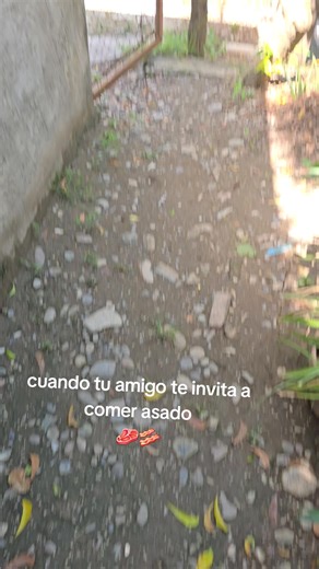 cuando tu amigo te invito a comer asado🥩🥓🤣🤣 @Amilcar Ribera #humor #rival