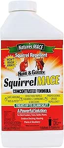 Nature’s MACE Squirrel Mace, Squirrel Repellent Spray, 40 Ounce Concentrate, Squirrel and Chipmunk Repellent, Keep Out of Garden, Attic, Fruit Trees, Plants, Potted Plants, Repel Squirrels