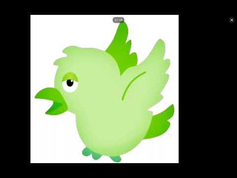 Snake eagle bird goose owl