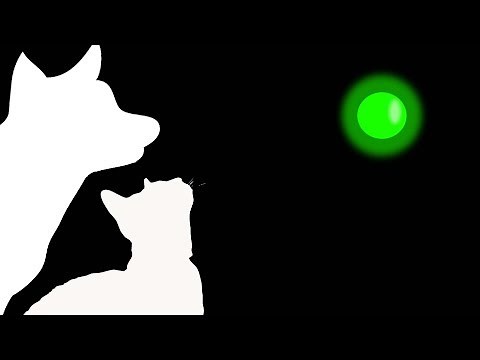 CAT GAMES - GREEN LASER CHASER (FOR CATS ONLY)