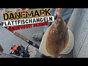 Plattfischangeln Dänemark Hirtshals mit Paternoster Montage #angeln #fishing #outdoors #danmark