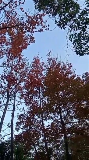 HEBREWS 11:6 (SIN) and without faith it is impossible to please him; for he that comes to God must believe that he is, and that he becomes a rewarder of those that diligently seek him. #TrustGod #ObedienceToGod | Lloyd Gray