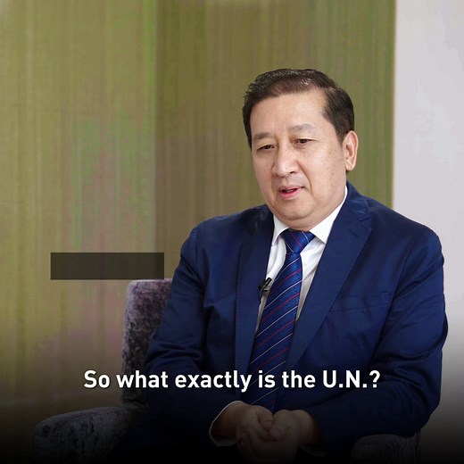 236 reactions | What you don't understand about the UN What is the...