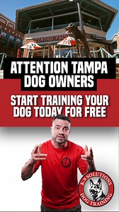 2.6K views · 115 reactions | FREE Dog Training!!! YES! We Can Train your Dog with Guarenteed Results! Any Dog, Any Size, Any Breed! Get Started Today! Limited Spots Available. (813) 769-9690 TBK9S.COM | Tampa Dog Training | Facebook