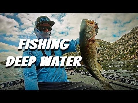 Drop Shot Fishing in Deep Water - how to catch fish in deep water
