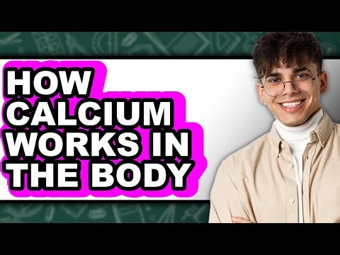 How Calcium Works in the Body (Easy Method)
