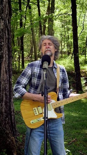 Wild Horses - cover