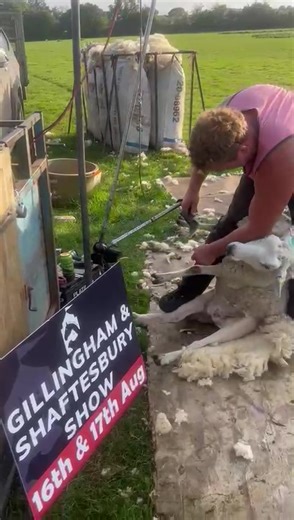 If you live in the Dorset area, don't forget about the Gillingham & Shaftesbury Show this week on the 16th and 17th of August | Gareth Wyn Jones