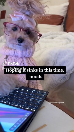 𝘿𝙞𝙙 𝙮𝙤𝙪 𝙩𝙝𝙞𝙣𝙠 𝙬𝙚 𝙬𝙚𝙧𝙚 𝙙𝙤𝙣𝙚 𝙬𝙞𝙩𝙝 𝙩𝙝𝙚 𝙨𝙣𝙖𝙧𝙠𝙮 𝙚𝙢𝙖𝙞𝙡 𝙨𝙞𝙜𝙣 𝙤𝙛𝙛𝙨💁🏼‍♀️ #noodlesthepooch #emailsignoffs #emails #emailsignature #officehumor #officetok #officetiktok #corporatehumor #corporatedog #typingdog #corpoeatecanine #corporatetiktok #corporatetok #foryou