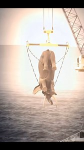 #WeAreNotAlone #paranormal #leviathan #bible #God #seamonster #creature #monster | Alien World