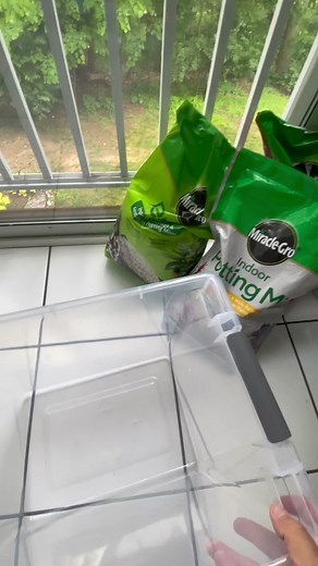 Ultimate Indoor Plant Soil Recipe for Money Trees