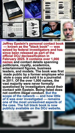 Epstein's Black Book Had 1,000 Names. Most Were Never Questioned. It's Now Public. #shorts