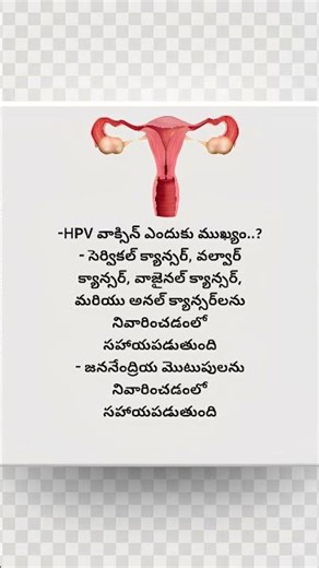 About of HPV Vaccine || #trending #viral #reels #shortvideo #shortsfeed