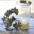 How to Make Moisturizer With Petroleum Jelly & Baby Lotion