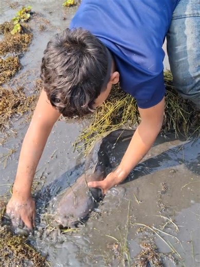 Fishing Adventures: Techniques and Tips for Success