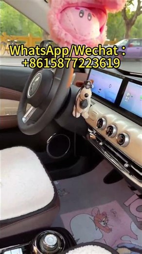 Why is the Wuling Bingo a Favorite Among Young People? #electricvehicle #electriccar