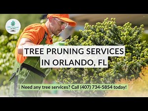 Tree Structural Pruning 101 by McCullough Certified Arborist