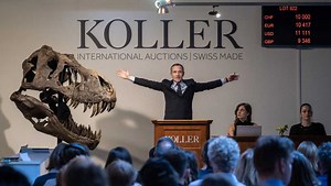 T. rex skeleton sells for more than $5M at auction