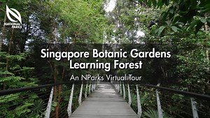 38K views · 1.5K reactions | If you have not visited the Learning...