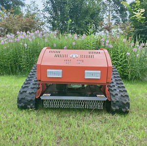 [Hot Item] 2020 Gasoline Remote Control Lawn Mower and Robot Lawn Mower for Agriculture