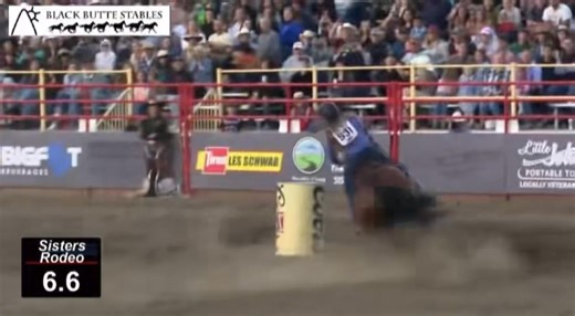 229K views · 7.9K reactions | Let the summer run begin!!! Sisters OR was good to us! On to Eagle ID for tonight’s perf  #rodeoroad #horses #100xequine #ranchfuel | Fallon Taylor | Facebook