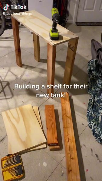 Upgrading Dunkin and Ophelia to a 40 Gallon Tank!