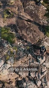 1.6K views | Most people collect art. You collect experiences. Let...