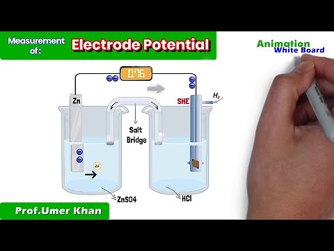Measurement of Electrode Potential | SHE | | Electrochemistry | Chemistry ask