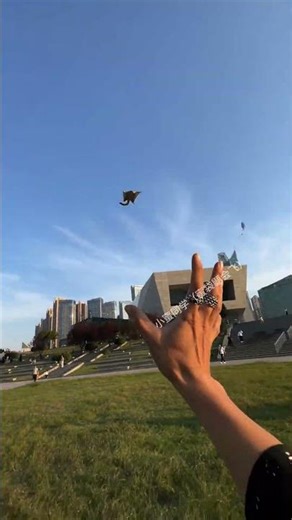 Sugar Glider Training Compilation: Swirls, Hands & Outdoor Fun! 📹 #Training #CutePets #SugarGlider