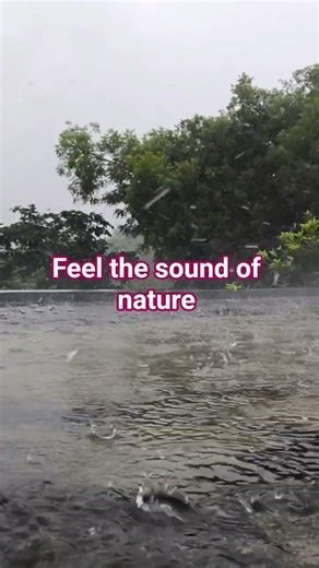 Feel the Sound of Nature 🌿 | Pure Peace in 30 Seconds Close Your Eyes & Feel the Sound of Nature 🌿🎧