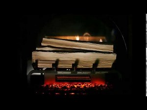 Dimplex 20" Revillusion® Plug-in Electric Fresh Cut Logset