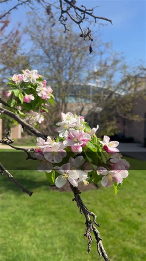 St Julie Billiart Parish on TikTok