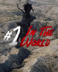 3.7K reactions · 207 shares | Audiences are devouring #Venom: The Last Dance. Don’t miss the number one movie in the world now playing in theatres. Get tickets. | Venom | Facebook