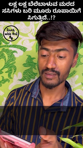 82K views · 2.6K reactions | ಲಕ್ಷ ಲಕ್ಷ ಬೆಲೆಬಾಳುವ ಮರದ ಸಸಿಗಳು ಬರಿ ಮೂರು ರೂಪಾಯಿಗೆ ಸಿಗುತ್ತಿದೆ. #Eishapolitician #sandalwoodtree #mrscootea #touchwithanil #freetree | Touch with Anil | Facebook