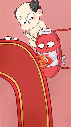 How the Placenta Supports a Baby During Pregnancy 👶🩺..!!#e2dhealth #animation #2dshow #health
