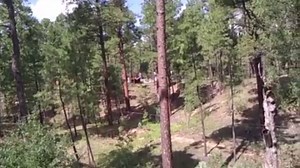 2.5K shares · 335 comments | Get that ziplining groupon deal, they said. It will be fun, they said. | America's Funniest Home Videos | Facebook